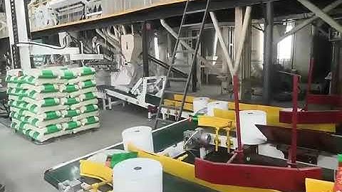 Bagged rice grain transfer palletizing line   BREMETZ