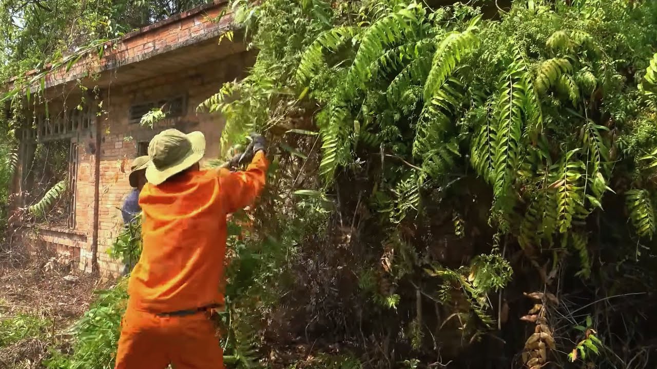 Реставрация заброшенного дома 🏚️ 70 лет пыли – невероятное восстановление особняка