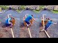 Fails at work total idiots at work funny fails 2022