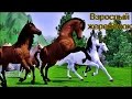 Дикие лошади/Wild horses (Взрослый жеребёнок); The Sims 3.