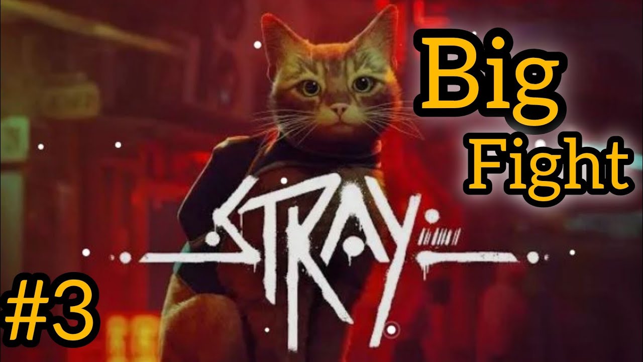 🐈 The Stray Cat Adventure Begins! #3 | Full Gameplay Walkthrough 😻