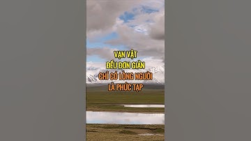 Vạn vật đều đơn giản chỉ có lòng người là phức tạp  !