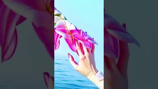 Download Lagu Blues Maria Daines That's What the blues MP3