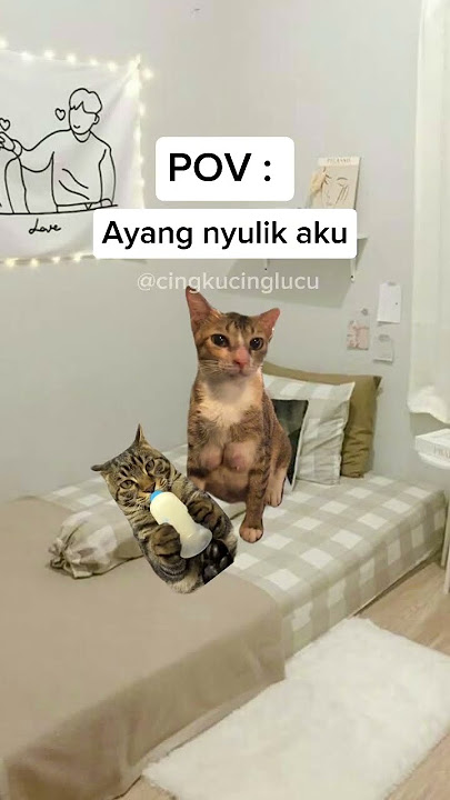 Di kurung seharian 🤣 | #kucing #kucinglucu #meme #memekucing #pov #shorts #shortvideo