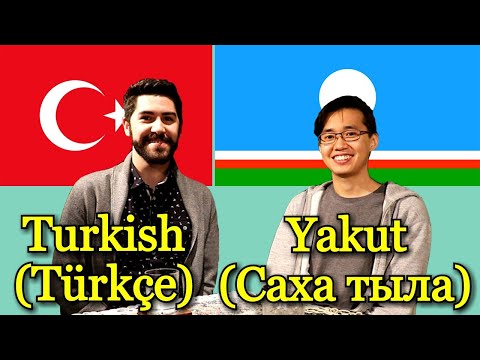 Different Language Video