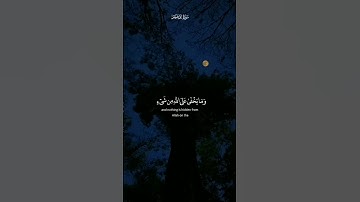 رَبَّنَا إِنَّكَ تَعْلَمُ مَا نُخْفِي وَمَا نُعْلِنُ|القارئ عبد الباسط عبد الصمد#قرآن #القرآن_الكريم