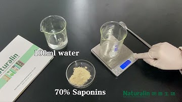 Soap Nut Extract | Natural Foaming Ingredient