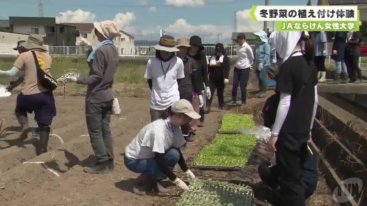 JA Naraken Women's University Winter Vegetable Planting Experience