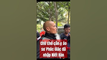 Chú chó cắn áo y sư Phúc-Giác hôm qua đã nhập Niết Bàn #suthichminhtue