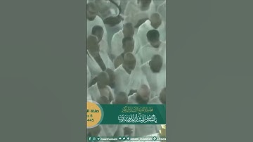 ومن آياته أنك ترى الأرض خاشعة ~ تلاوة تحبيرية خاشعة للشيخ ياسر الدوسري - التلاوة كاملة بالوصف