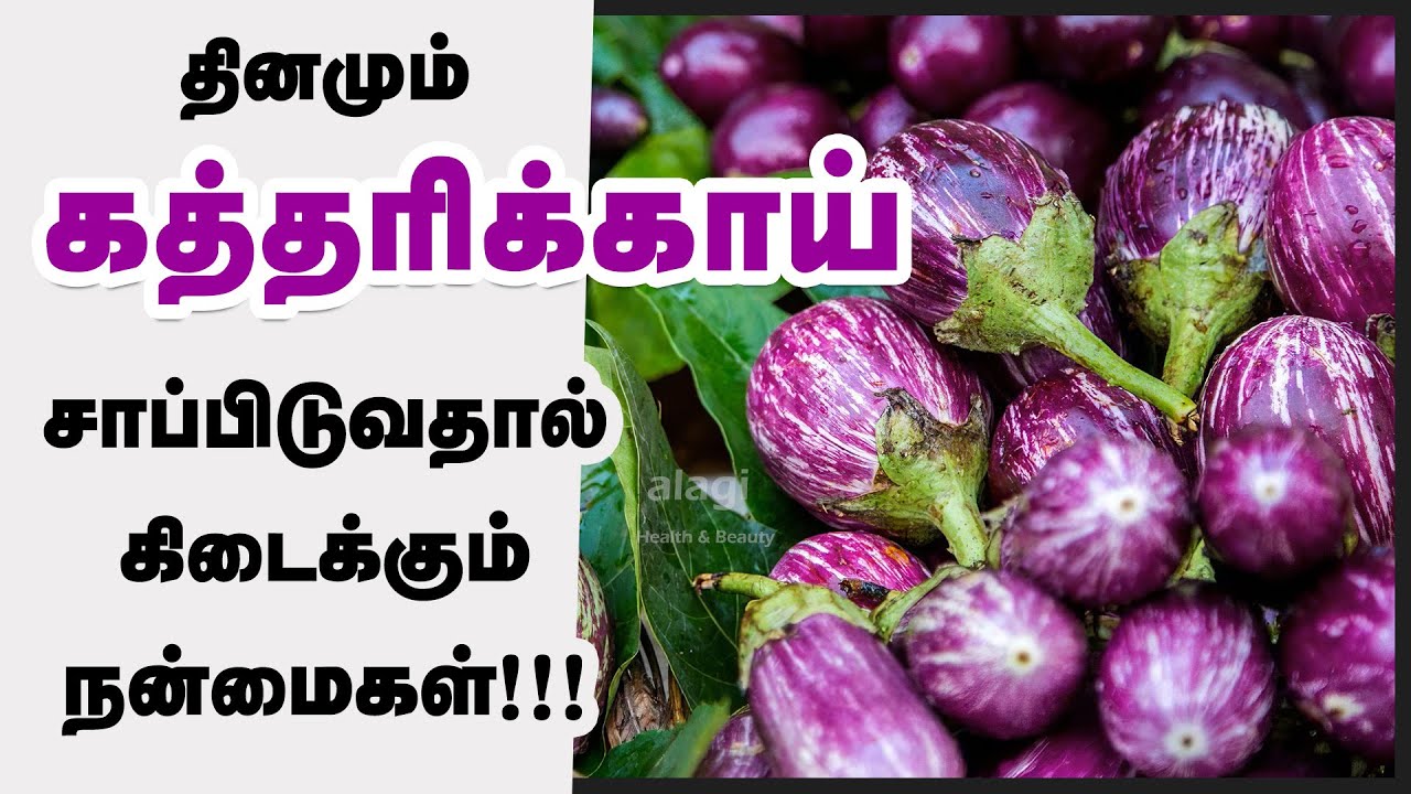 கத்தரிக்காய் மருத்துவ பயன்கள் Top 10 Health Benefits of Brinjal Tamil