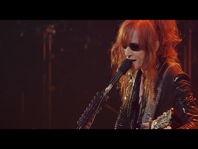 たかたかみー Kamikaze Tokkōtai IJN Special Attack Units - Limited Edition