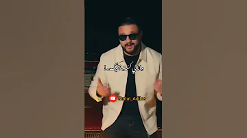 Statut WhatsAp Cheb Momo مبغاش قلبي ينساك 