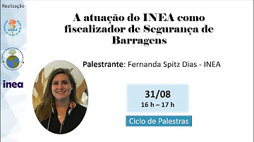 Qual é a função do Inea?