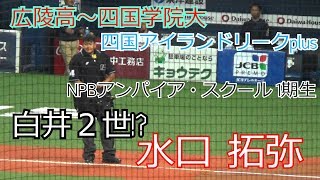 【白井２世？】球審を務める水口拓弥審判員をウォッチ！【2019年オープン戦 　3/5 オリックスvs東京ヤクルト】