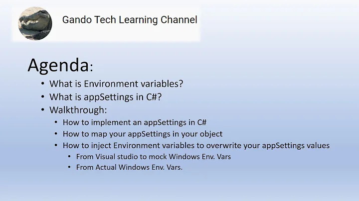 How to create appSettings and Environment Variables in project | deserialize them in to object in C#