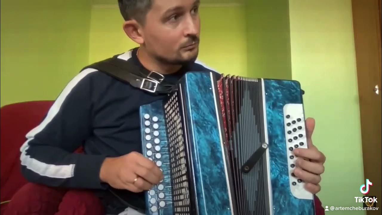 Бумер на гармошке. Бумер на гармони. черный бумер на гармошке по цифрам. черный бумер на гармони кнопки.