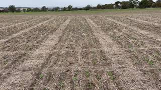 Flexi-N Strategies on Canola with Scott Nelson