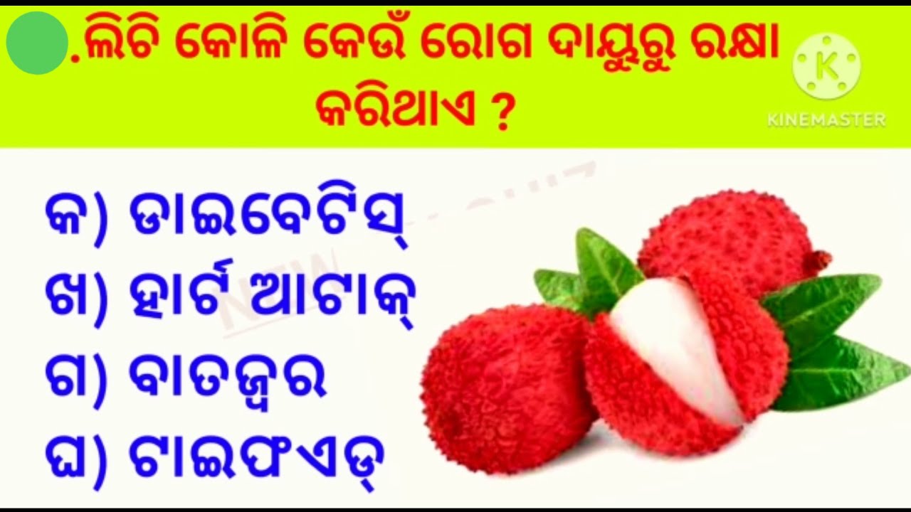 sadharan gana odia gk gk gk odia sadharan odia gk 2023 odia