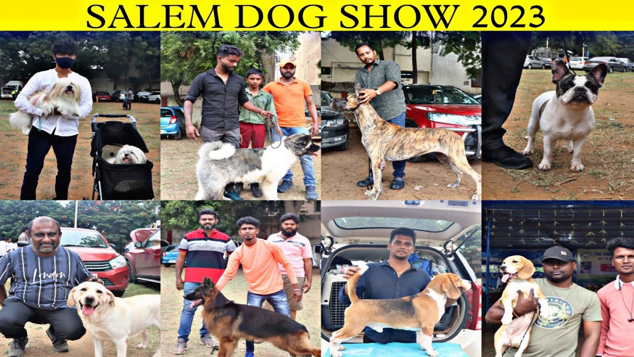 The Salem ACME Kennel Club 27th & 28th Championship Dog Show 2023