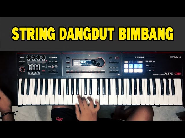 Roland XPS30 Dangdut String Keyboard - Byang Rhoma Irama class=