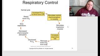 Baker Patho Chapter 13 Respiratory System Disorders