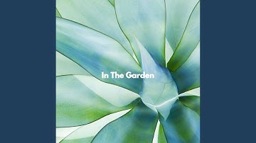 Modern Backdrops for Golden Memory