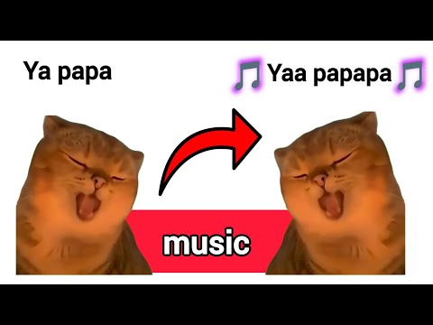 Famous Cat Memes 😺 - Normal vs Music version 🎵