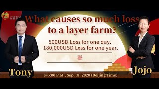 Soft egg | how to get more quality egg and high profit in your layer farm #softegg #bileacids screenshot 2