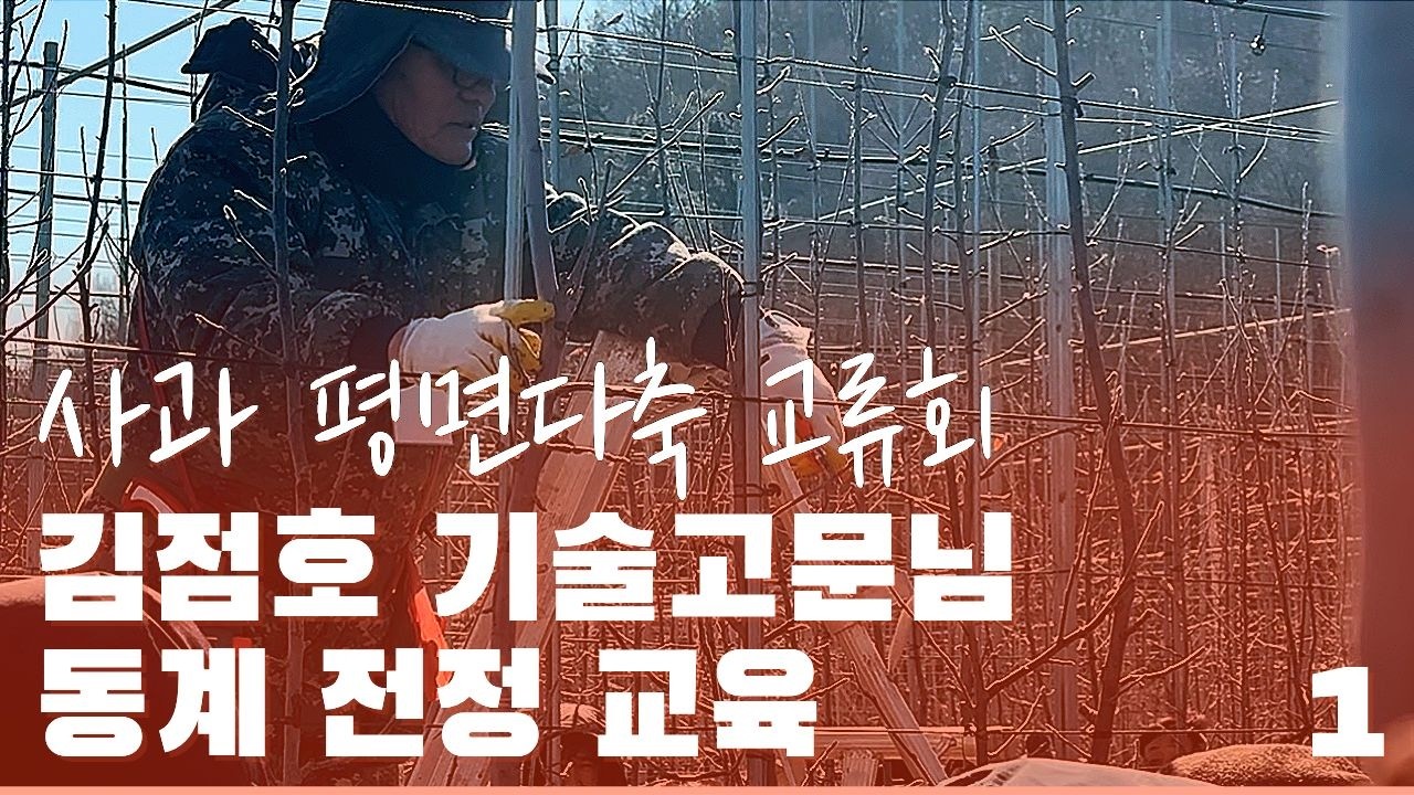 사과 평면다축 교류회 김점호 기술고문님 동계 전정 교육 1/4