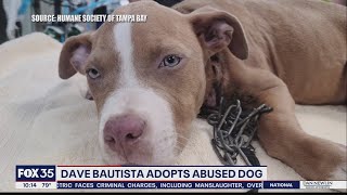 Marvel actor Dave Bautista adopts neglected puppy from Tampa shelter