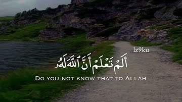 ألم تعلم ان الله على كل شيء قدير ❤ | القارئ ياسر الدوسري