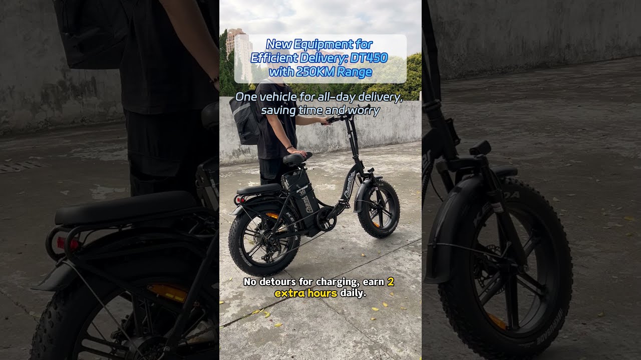 DT450 E Bike 250KM Range For Efficient All Day Delivery Chamrider