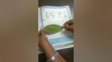 Lesson 16 chapter 16 look learn and experience class 5 evs env Grade 5 English hindi