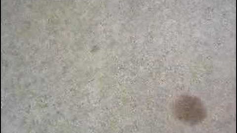 Disappearing footprint