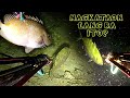 EP 47: NIGHT SPEARFISHING PHILIPPINES | NAKA TSAMBA NA NAMAN TAYO SA BAGONG SPOT | SISIDBIRI