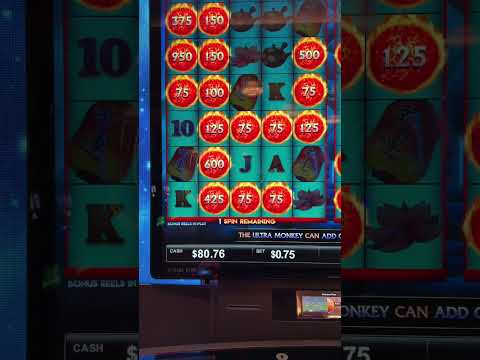 Genießen Sie Online-Casino nur Spins in der Schweiz: Entdecken Sie unsere Casino-Spiele