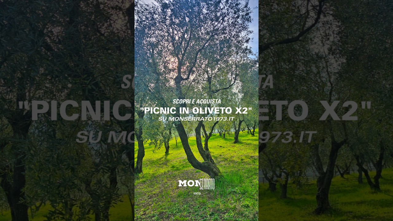 Picnic in oliveto X2 a Benevento