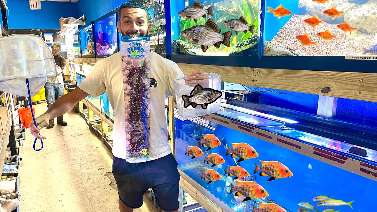VISITING The BEST *PET STORE* In South FLORIDA! Craziest lnventory