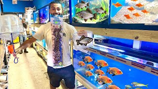 VISITING The BEST PET STORE In South FLORIDA Craziest lnventory