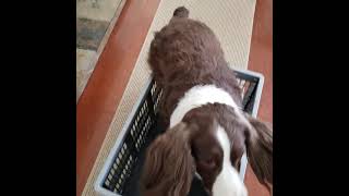 Grace In the box #2