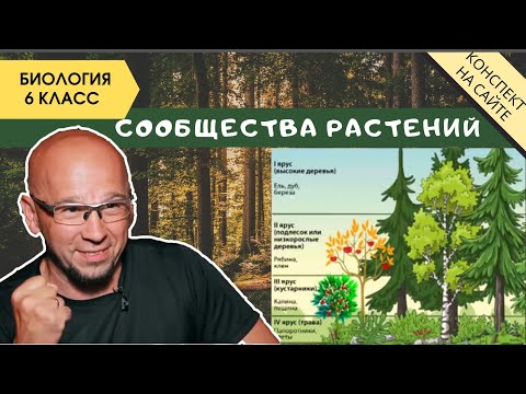 Растительные сообщества природы. Биология 6 класс. Фитоценоз. Симбиоз растений и их взаимодействие