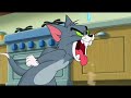 tom and jerry cartoon  tom and jerry cartoon  tom and jerry cartoon #Animationekml