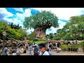 Disney's Animal Kingdom Complete Walking Tour in 5K | Walt Disney World 2021 Orlando Florida