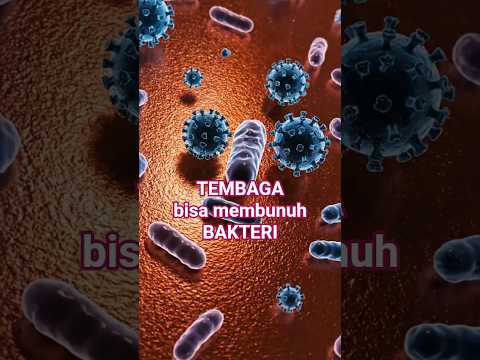 Tembaga Bisa Membunuh Bakteri? #tembaga