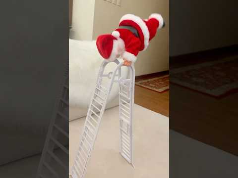 Cute Santa Clause Climbing the Ladder! Santa toys 🎅🏻🎁 #shortsvideo #christmas #present #santa