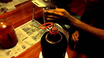 Testing the Specific Gravity of Homemade Blueberry Wine