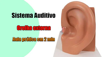 O que significa perda auditiva neurossensorial bilateral?