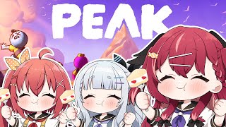 昏昏アリア / Konkon Ariaの配信のサムネイル画像