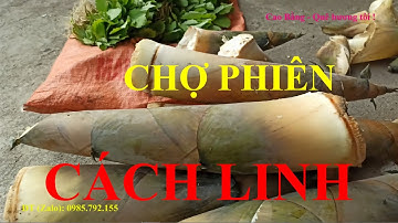 Lang thang Chợ phiên CÁCH LINH khám phá tìm hiểu sản vật nông sản huyện Phục Hòa, Quảng Hòa Cao Bằng